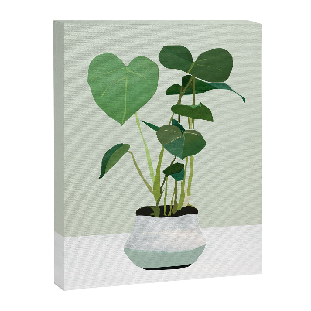 Plant 3 Canvas Print Gallery Image 6