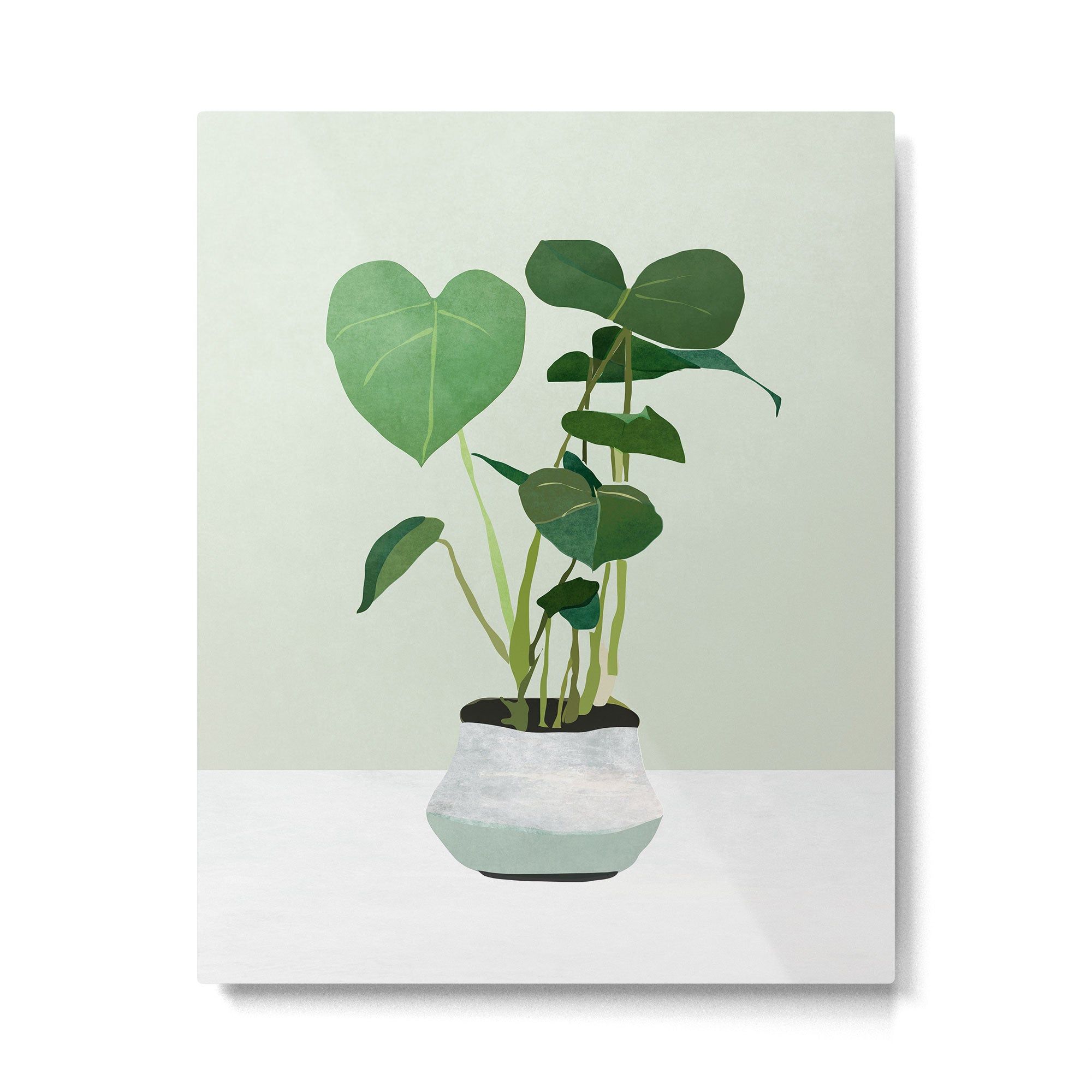 Plant 3 Metal Print Gallery Image 4