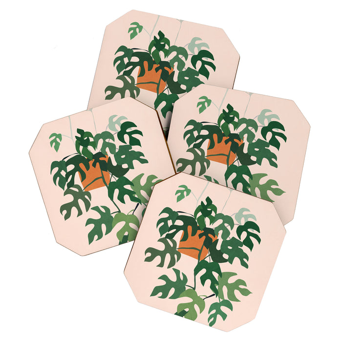 Plant 8 Coaster Gallery Image 1