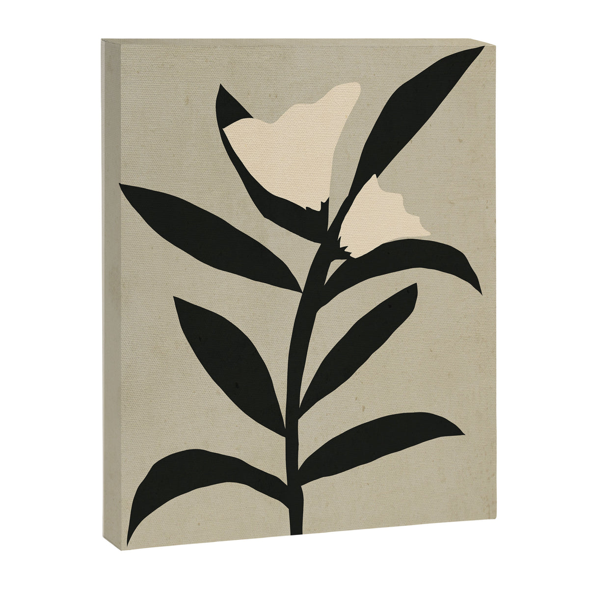 Plant 9/1 Canvas Print Gallery Image 6