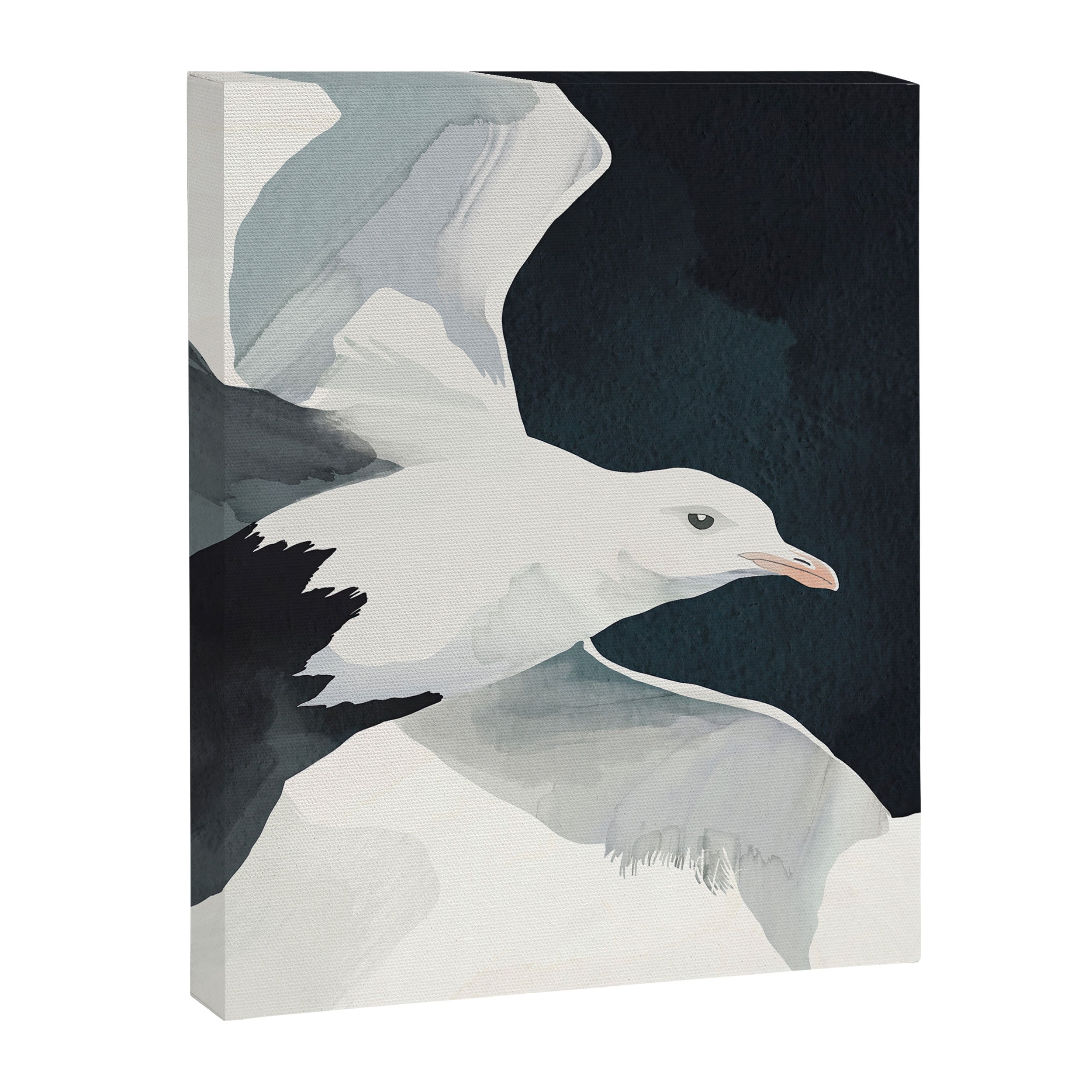 Silent Flight Canvas Print Gallery Image 6