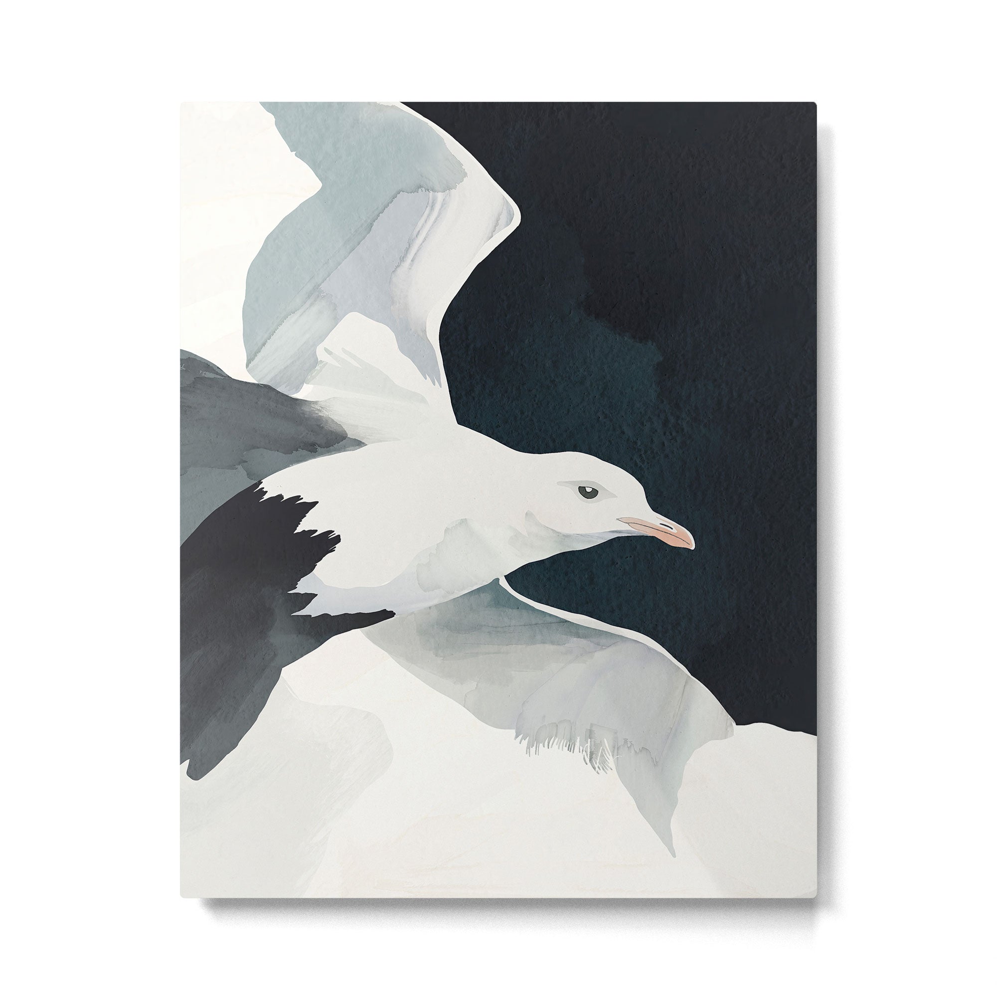 Silent Flight Metal Print Gallery Image 4