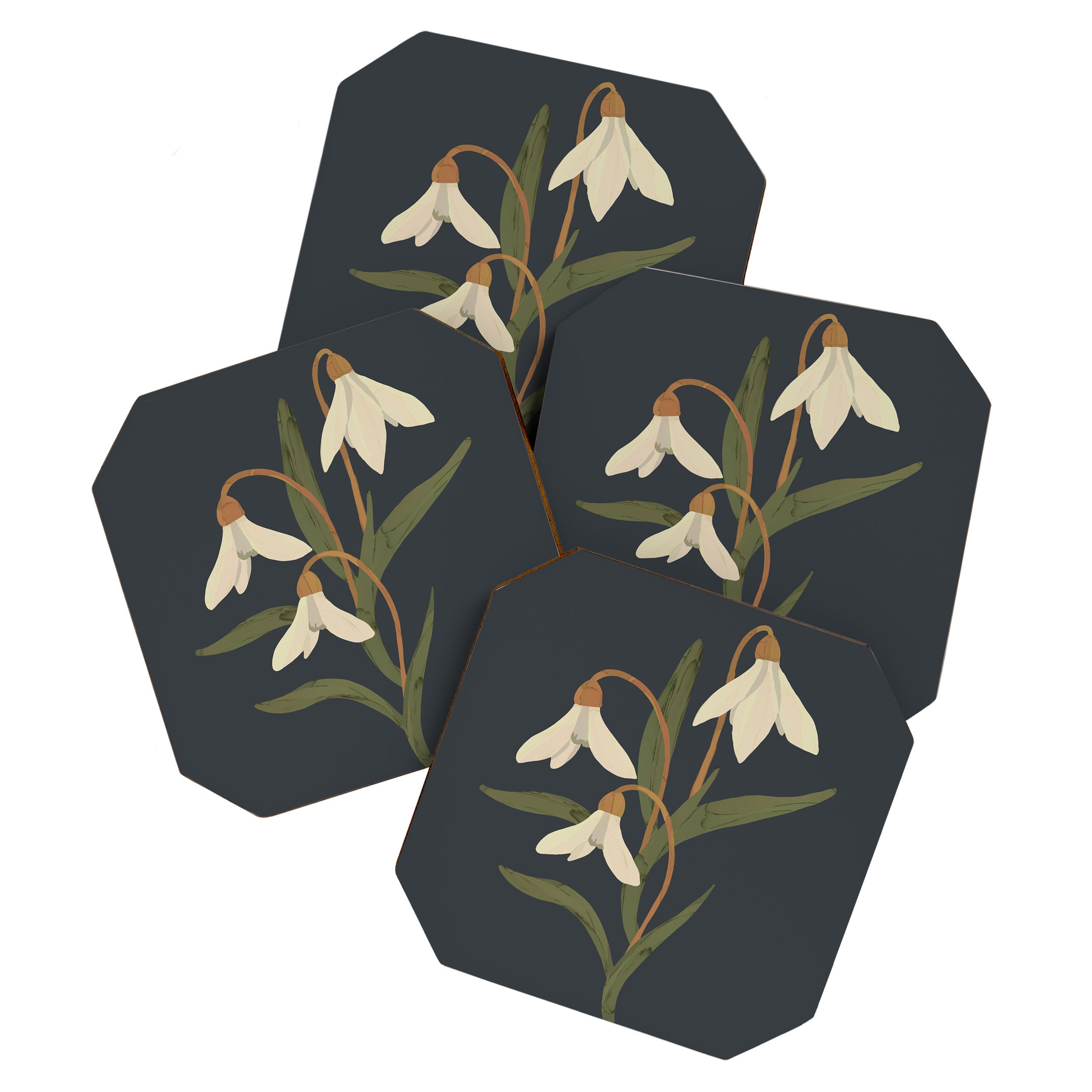 Snowdrops Coaster Gallery Image 1