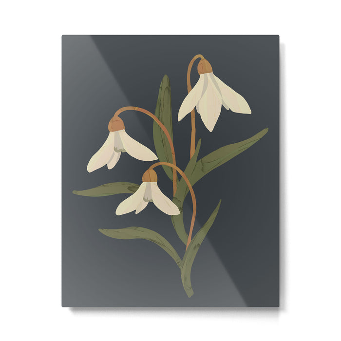 Snowdrops Metal Print Gallery Image 1