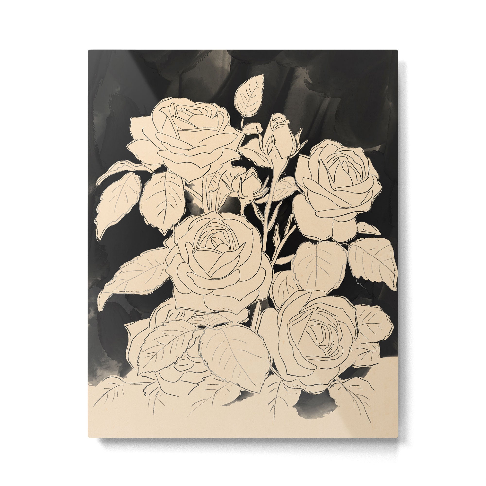 White Roses 3 Metal Print Gallery Image 4