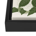 White Roses 6 Framed Canvas Print Gallery Image 3