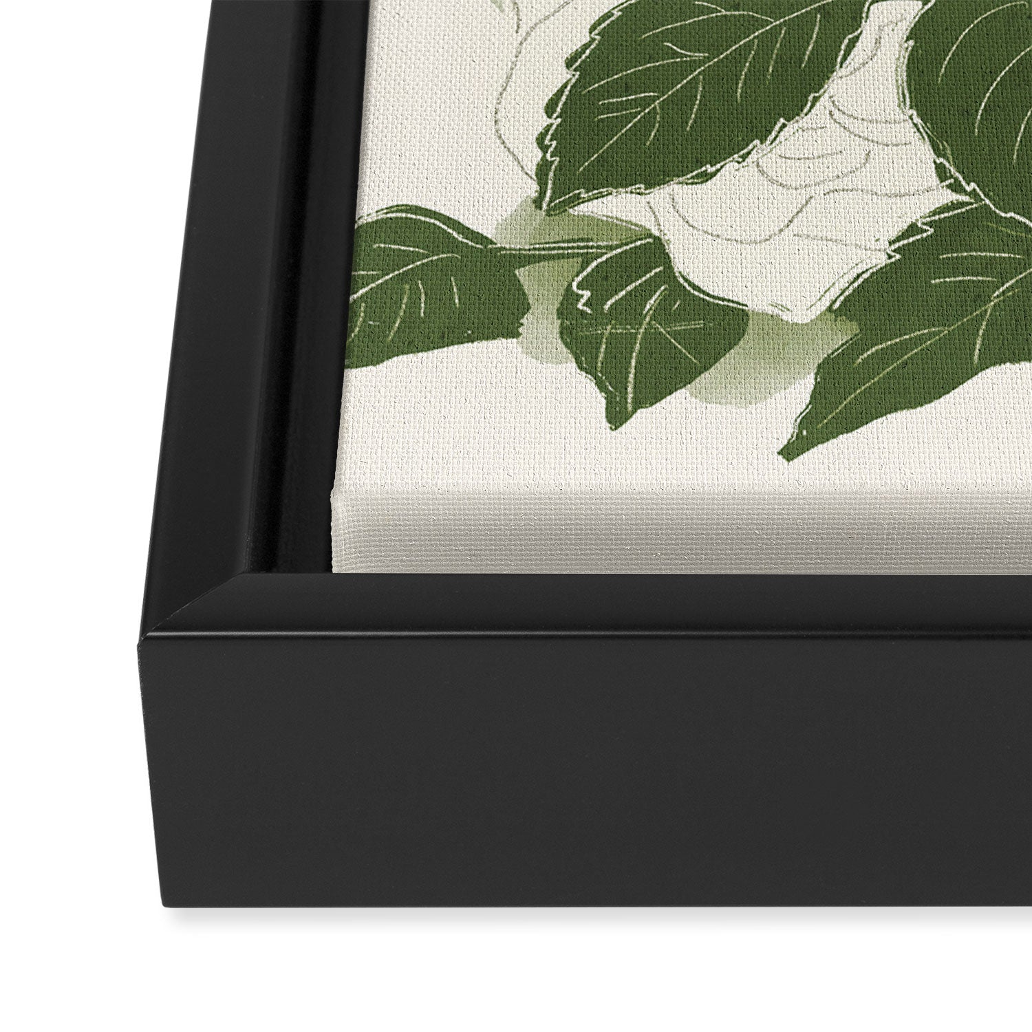 White Roses 6 Framed Canvas Print Gallery Image 3