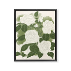 White Roses 6 Framed Canvas Print Gallery Image 6