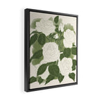 White Roses 6 Framed Canvas Print Gallery Image 2