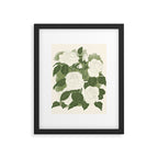 White Roses 6 Framed Art Print Gallery Image 5