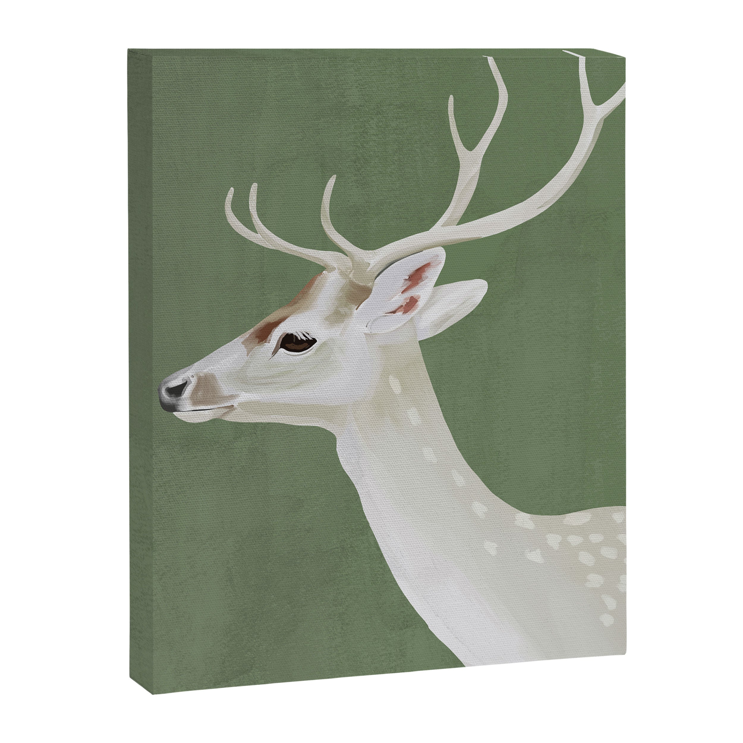White Stag I Canvas Print Gallery Image 6