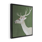 White Stag I Framed Canvas Print Gallery Image 2