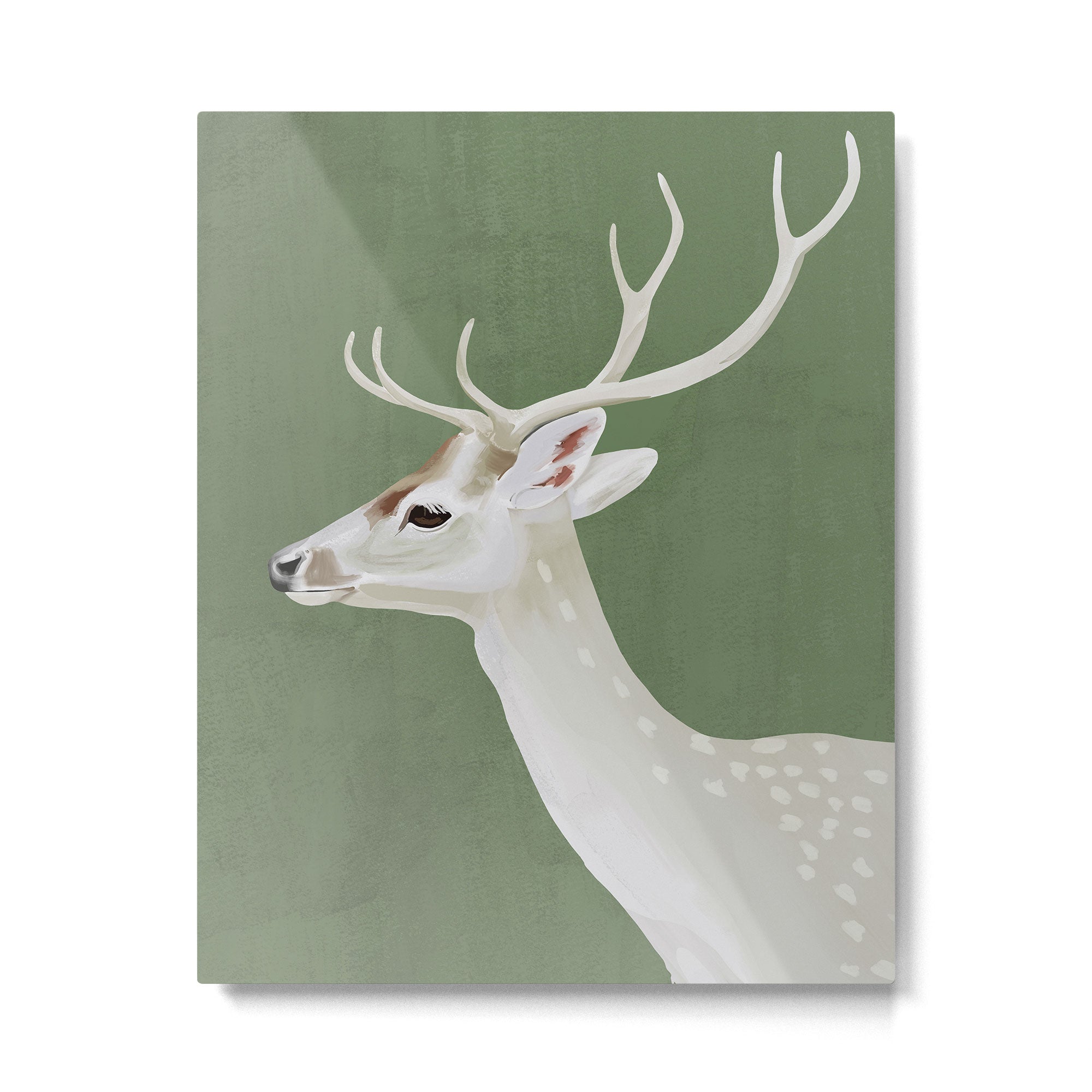 White Stag I Metal Print Gallery Image 4
