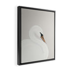White Swan Framed Canvas Print Gallery Image 2