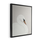White Swan Framed Canvas Print Gallery Image 2