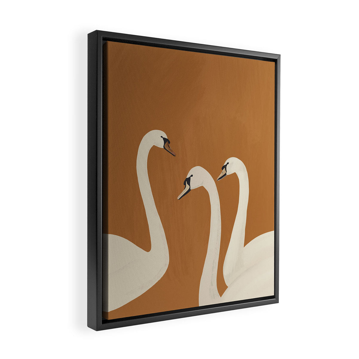 White Swans 2 Framed Canvas Print Gallery Image 2