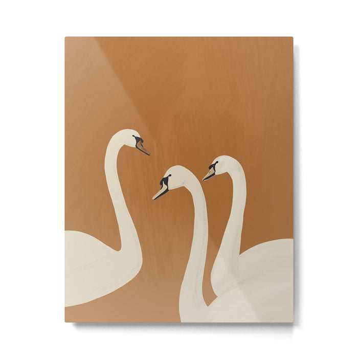 White Swans 2 Metal Print Gallery Image 1