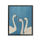 White Swans 3 Framed Canvas Print Gallery Image 8