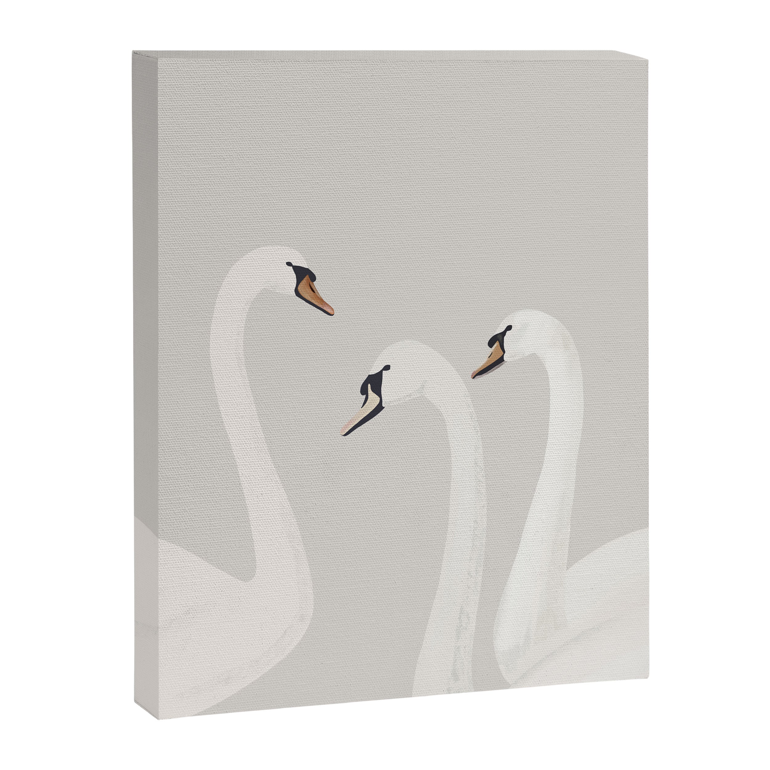 White Swans Canvas Print Gallery Image 3