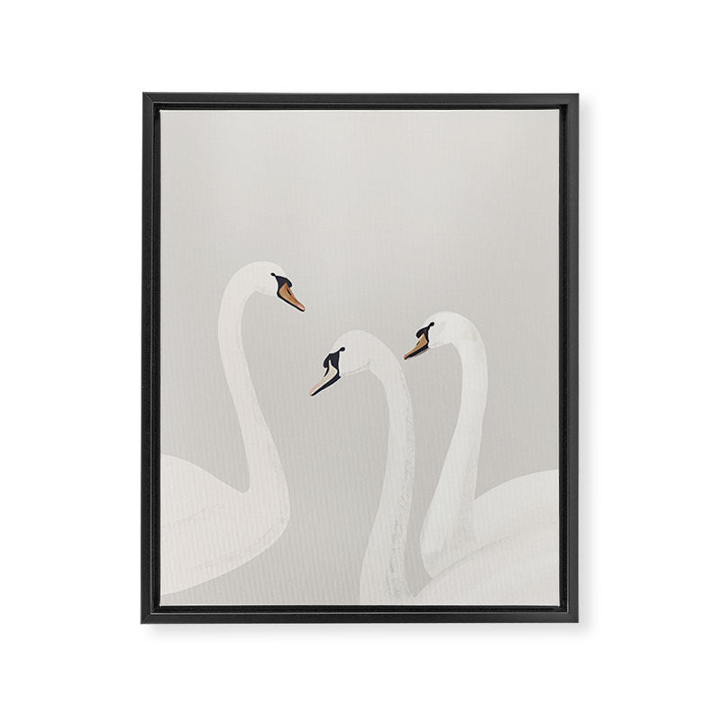 White Swans Framed Canvas Print Gallery Image 3