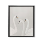 White Swans Framed Canvas Print Gallery Image 3