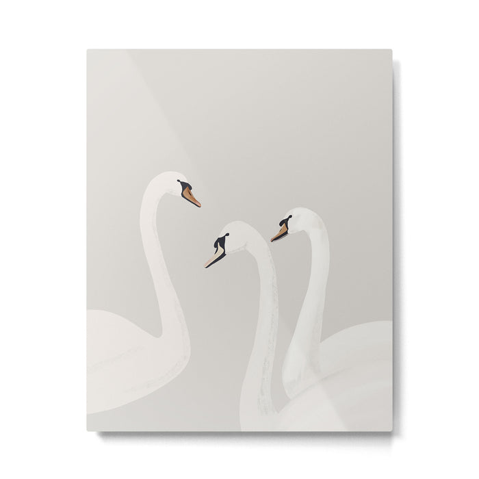 White Swans Metal Print Gallery Image 1
