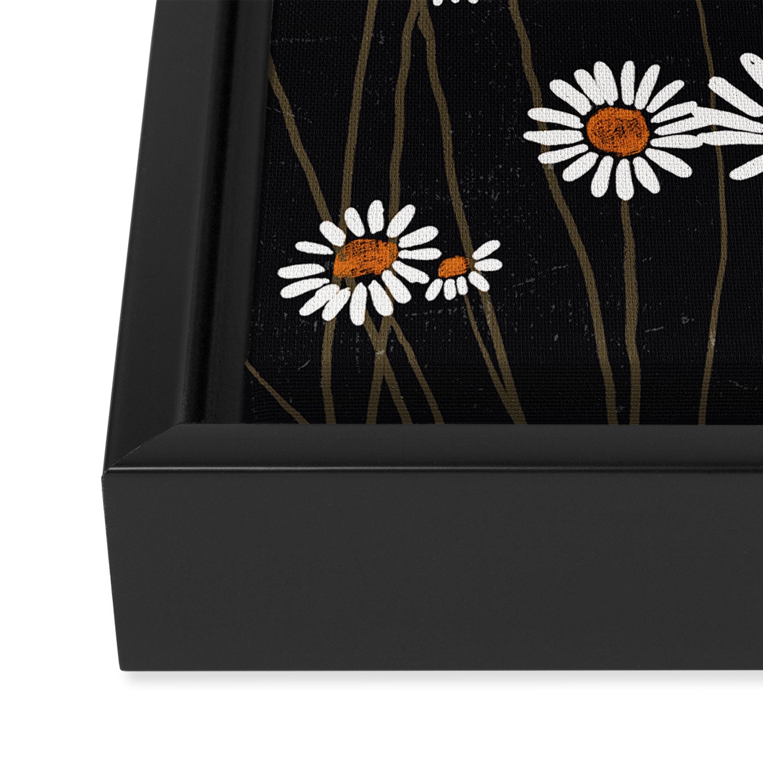 Wild Daisy Flowers 2 Framed Canvas Print Gallery Image 3