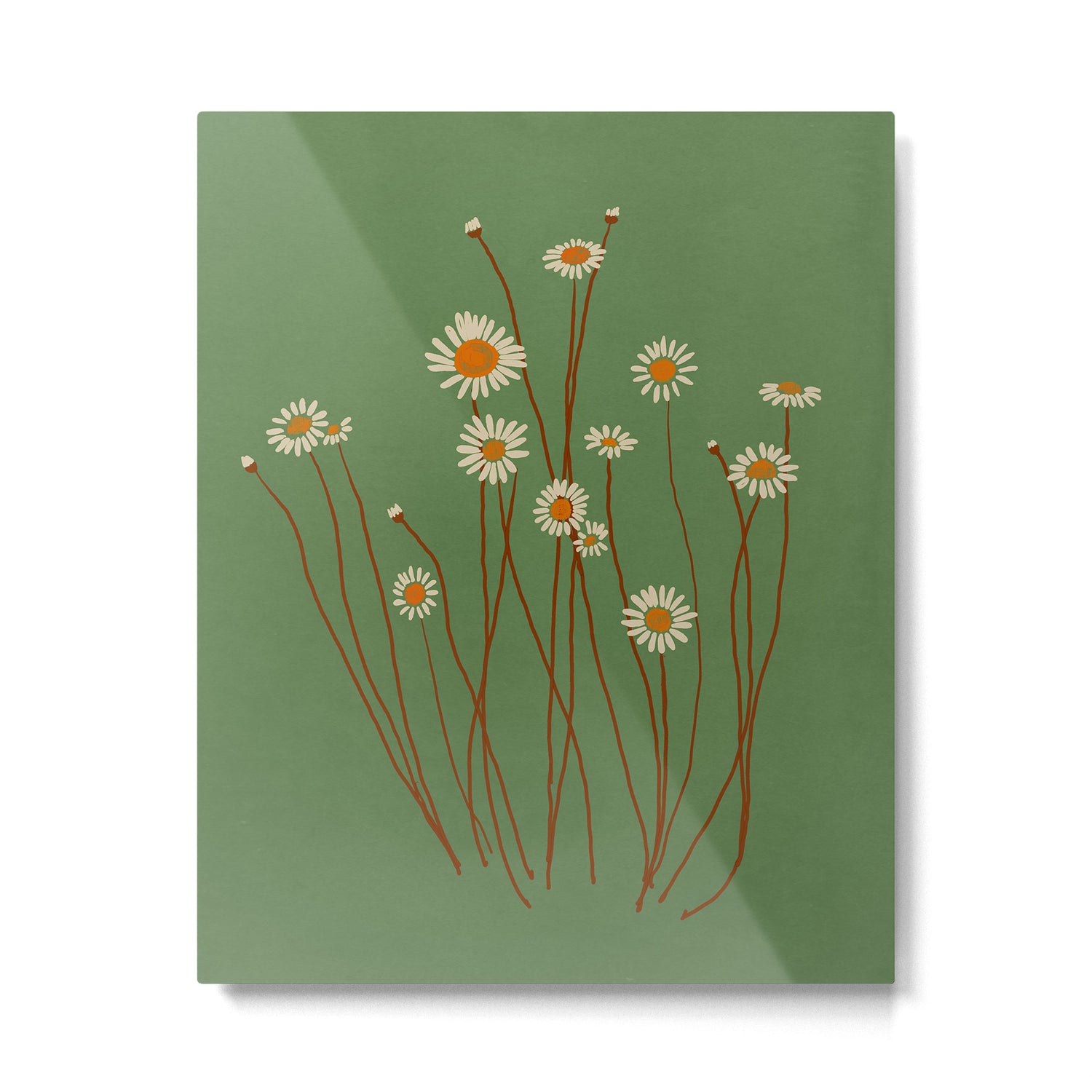 Wild Daisy Flowers 5 Metal Print Gallery Image 4