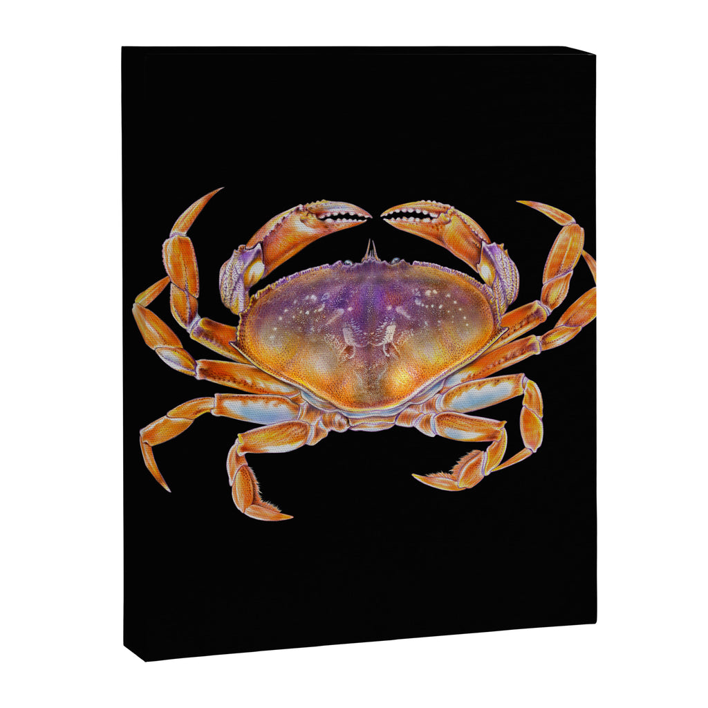 Dungeness crab Canvas Print Gallery Image 8