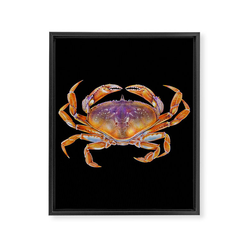 Dungeness crab Framed Canvas Print Gallery Image 8
