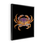 Dungeness crab Framed Canvas Print Gallery Image 2