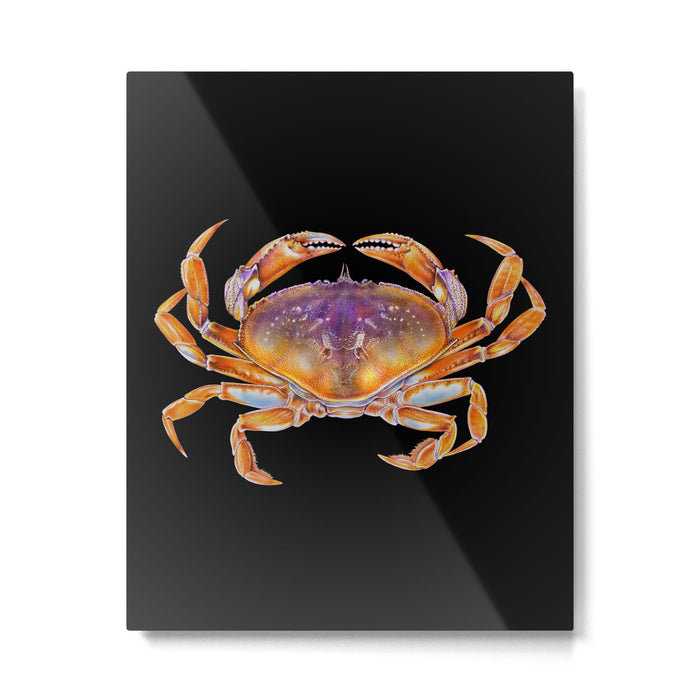 Dungeness crab Metal Print Gallery Image 1