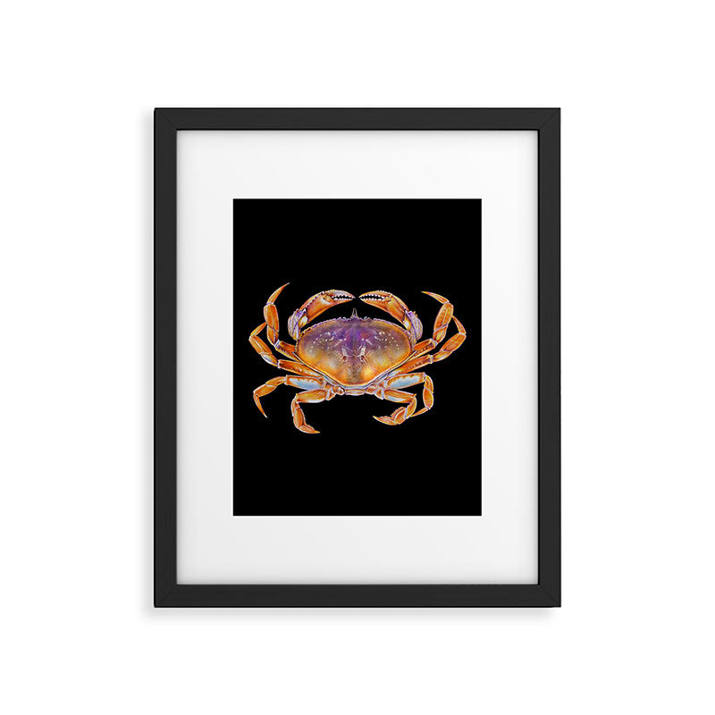 Dungeness crab Framed Art Print Gallery Image 6
