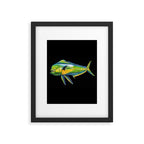 Mahi Mahi Framed Art Print Gallery Image 6