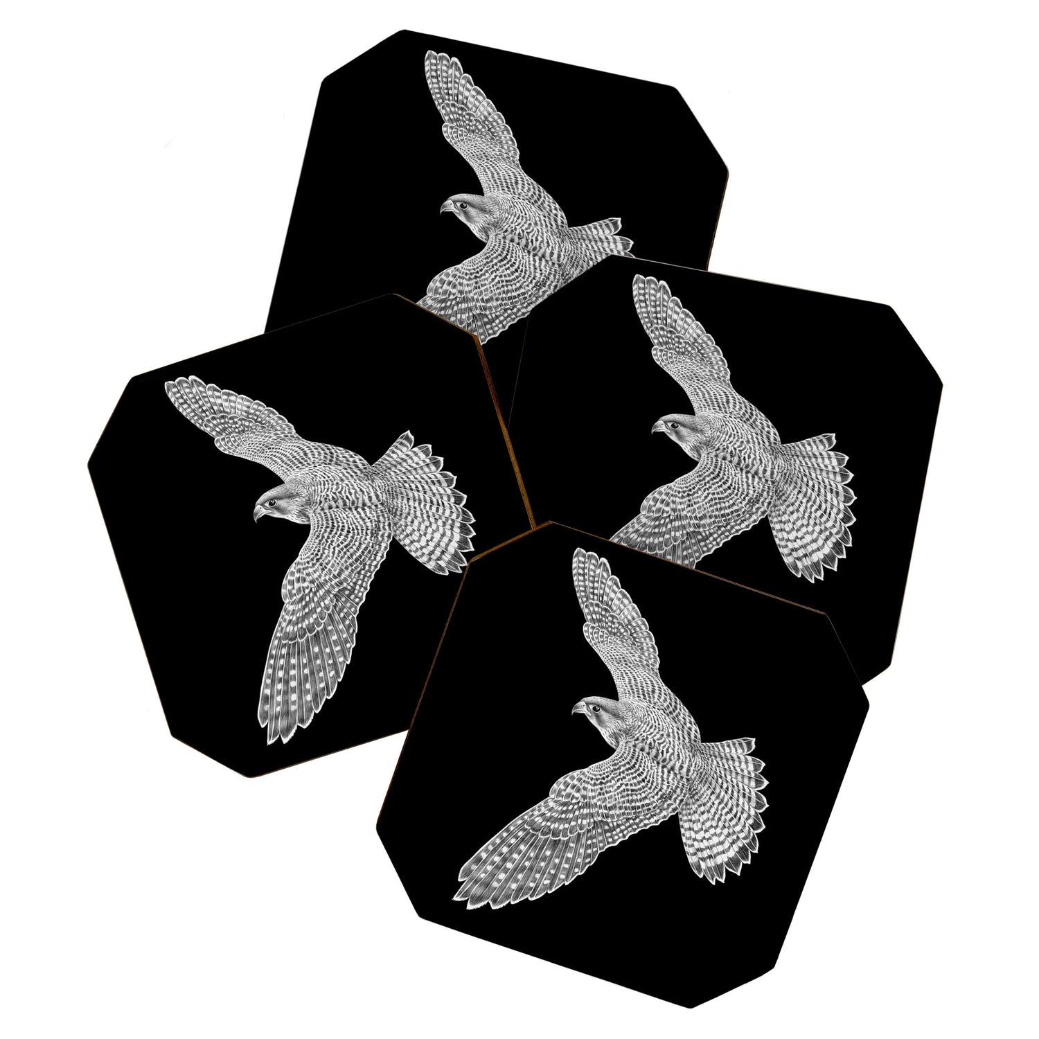Peregrine Falcon Coaster Gallery Image 1