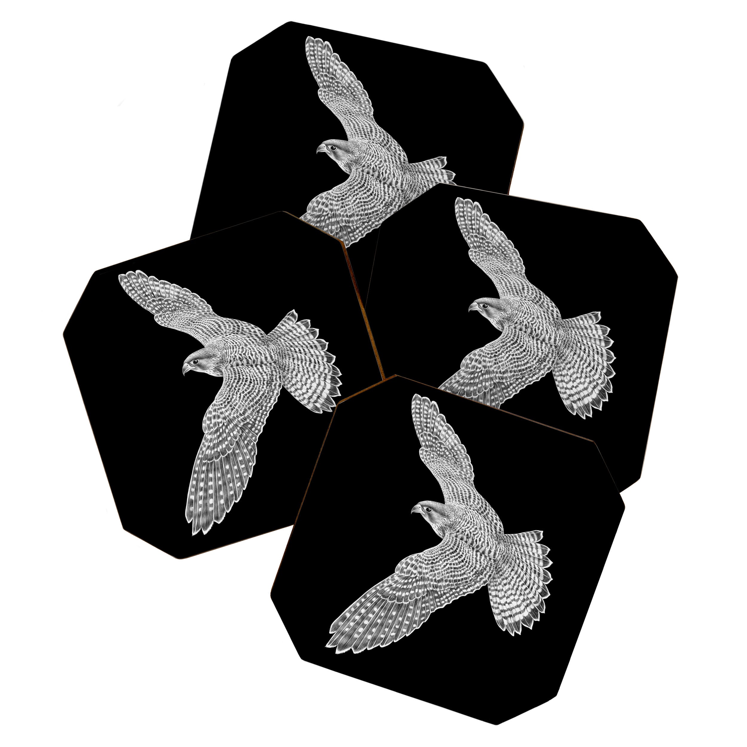 Peregrine Falcon Coaster Gallery Image 1