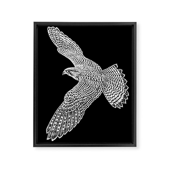 Peregrine Falcon Framed Canvas Print Gallery Image 1