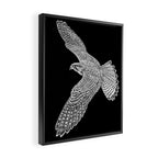 Peregrine Falcon Framed Canvas Print Gallery Image 2