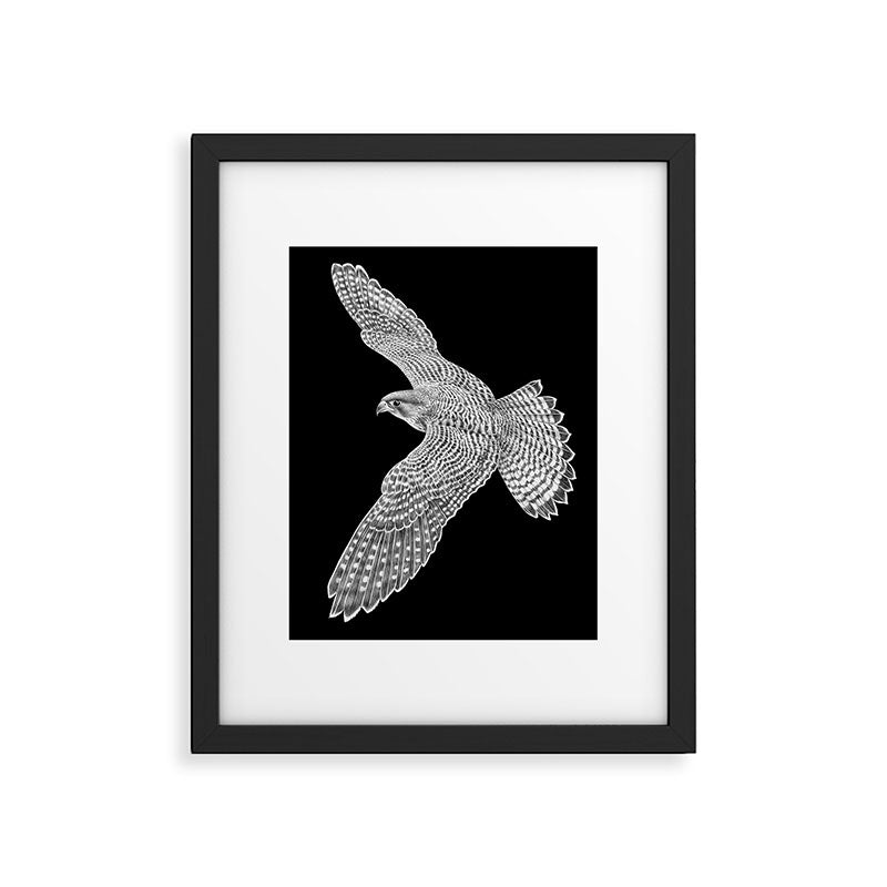 Peregrine Falcon Framed Art Print Gallery Image 6