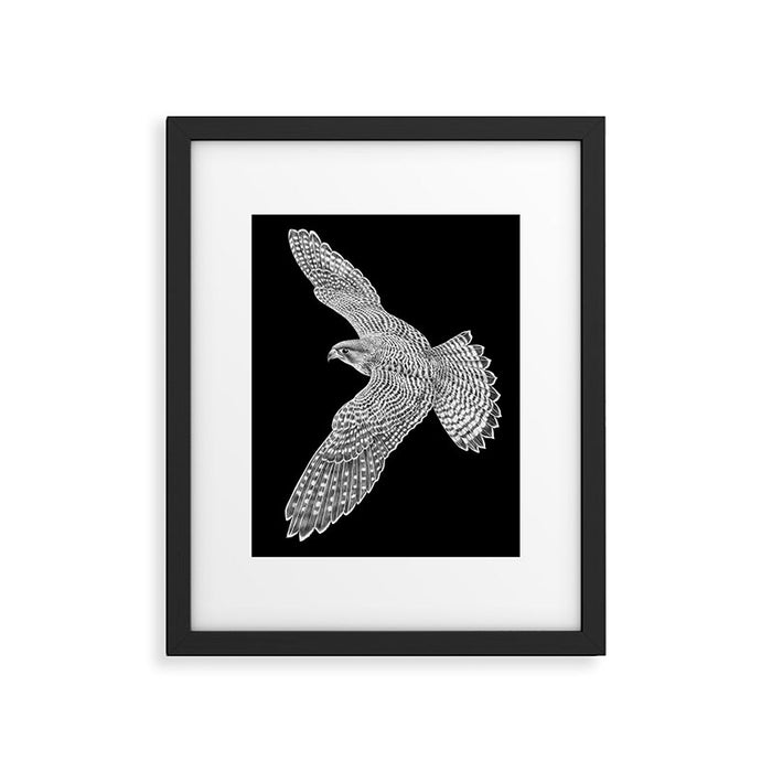 Peregrine Falcon Framed Art Print Gallery Image 1