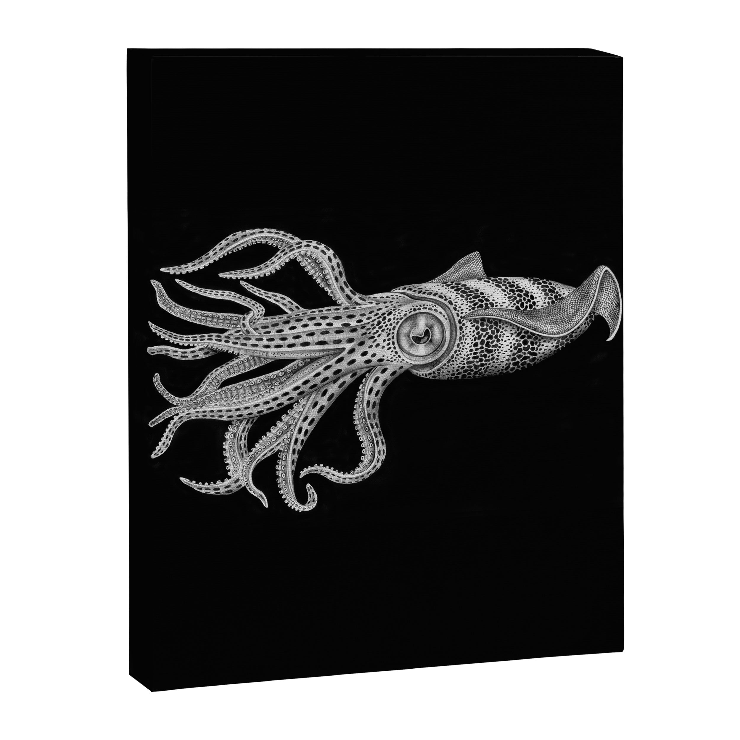 Squid Canvas Print Gallery Image 8