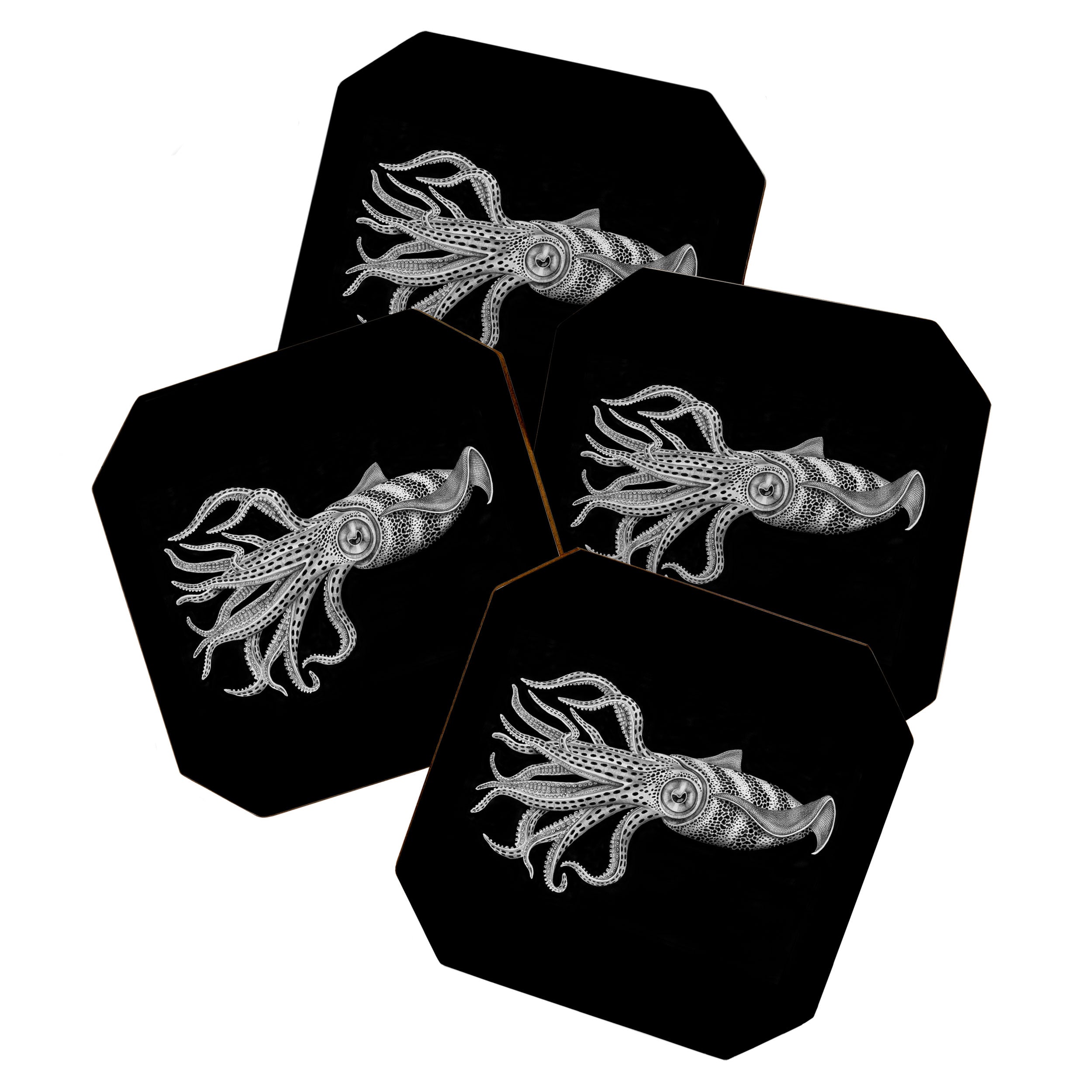 Squid Coaster Gallery Image 1