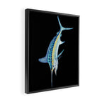 White Marlin Framed Canvas Print Gallery Image 2