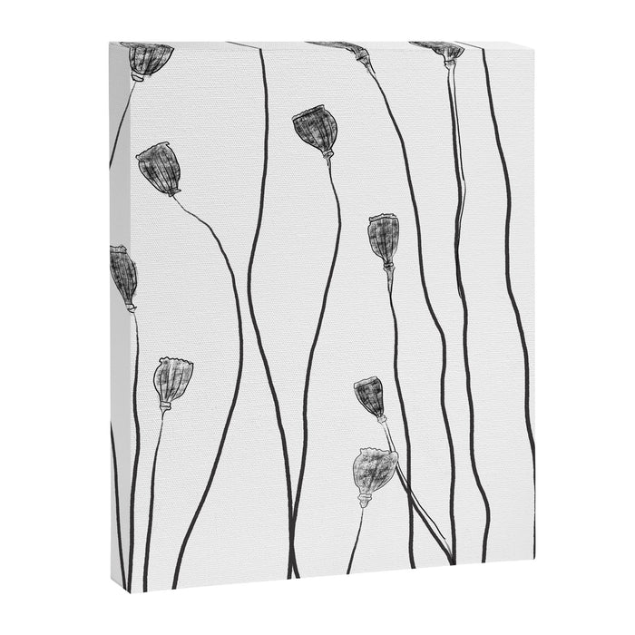 A group of poppy heads Canvas Print Gallery Image 1
