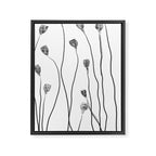 A group of poppy heads Framed Canvas Print Gallery Image 6