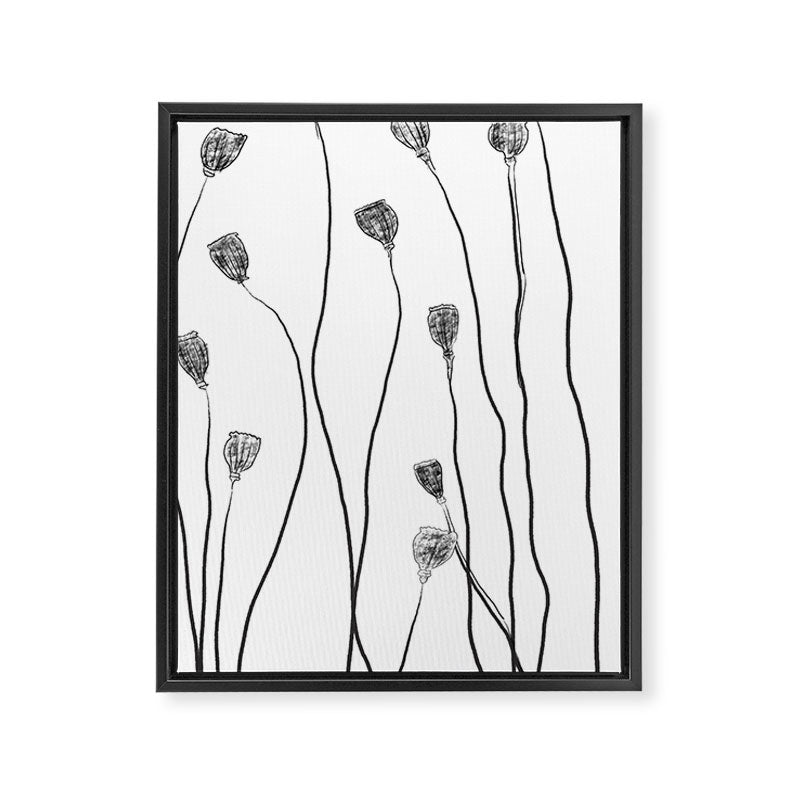 A group of poppy heads Framed Canvas Print Gallery Image 6