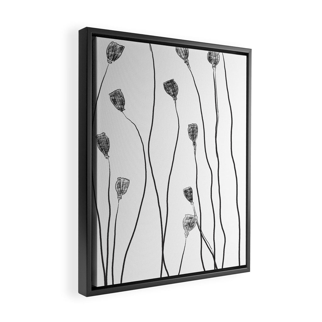 A group of poppy heads Framed Canvas Print Gallery Image 2