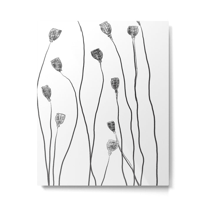 A group of poppy heads Metal Print Gallery Image 1