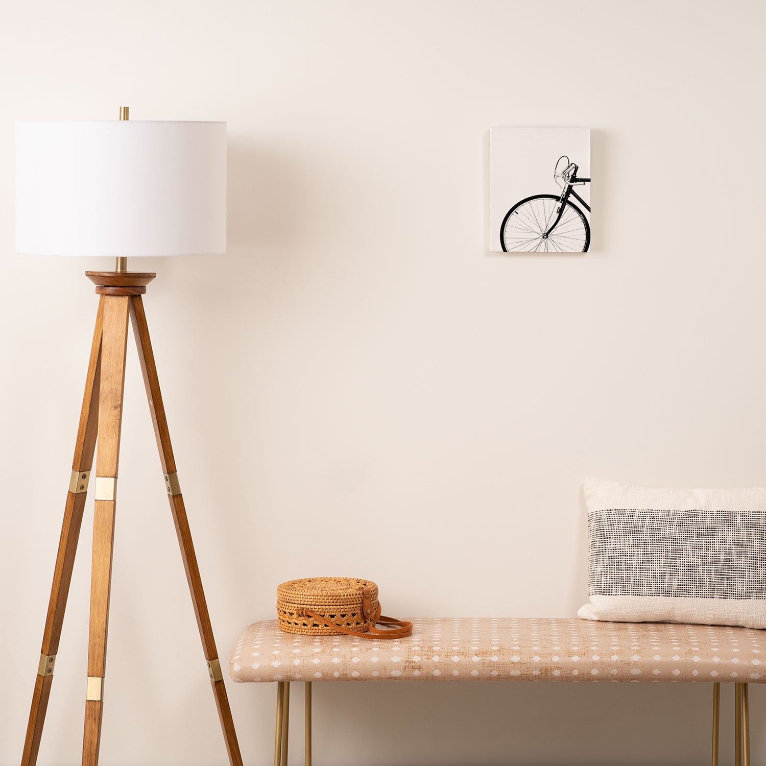Bicycle, Bike Canvas Print Gallery Image 2