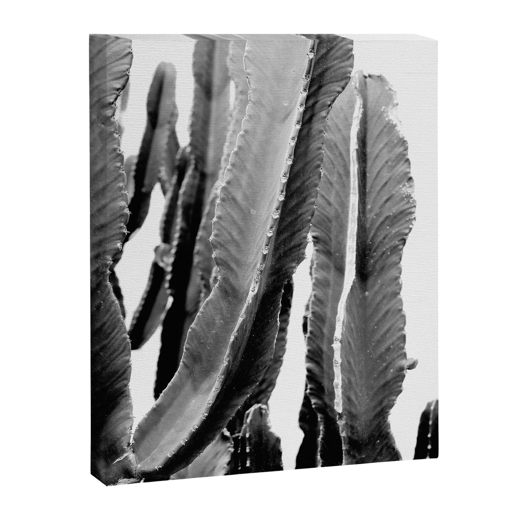 Boho Cactus Canvas Print Gallery Image 6